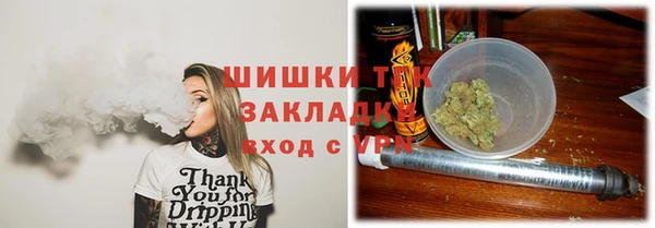 гидропоника Новозыбков