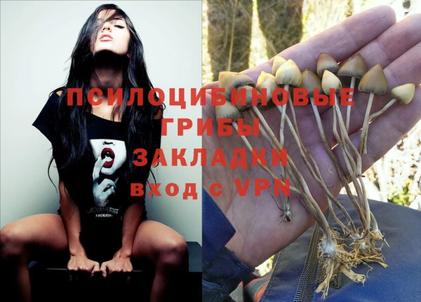 ECSTASY Абинск